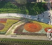 '꽃그림' 연출한 형형색색 튤립 꽃밭