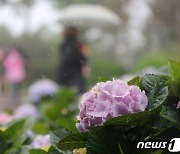 [퇴근길 날씨] 내일 오전까지 '비'..교통안전 조심