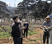 무주군 농기센터, 사과·복숭아 냉해 피해 대비 기술지도