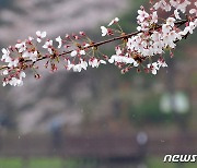 [내일 날씨] 오전까지 전국 비..오후부터 맑아져