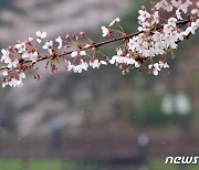 봄비 그친 뒤 꽃샘추위..수요일 '한파주의보' 예상