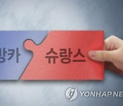 은행들, 불신 커진 사모펀드 대신 생명보험 상품 팔았다