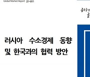 '글로벌 수소 대국 노리는 러시아를 잡아라'..코트라, 러시아 수소경제 보고서 발간