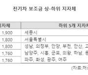 세종시- 울릉군, 아이오닉5 구매때 '800만원' 차이