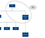 SKT 중간지주사 인적분할 vs 물적분할? 제3의 시나리오 가능성도
