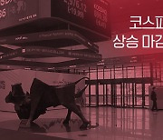 코스피 소폭 상승하며 3,135.59에 마감