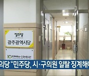 정의당 "민주당, 시·구의원 일탈 징계해야"