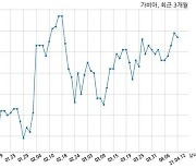 가비아, 특별관계자 지분변동