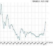 평화홀딩스 120억원 규모 채무보증 결정