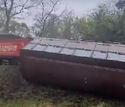 제주 에코랜드서 37명 탑승한 관광체험용 기차 전도 사고 발생