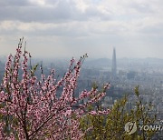 서울의 봄