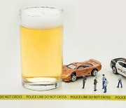음주운전자, 차량시동장금장치 설치·음주 치료해야 다시 운전할 수 있다