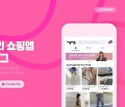카카오, '지그재그' 품는다..글로벌 패션 커머스 '도전장'