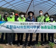 농협중앙회 조합감사위원회, 화훼농가 일손돕기