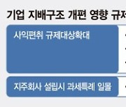 지주사 전환 현물출자 과세특례 연말 끝난다 "현대차, 올해가 골든타임" [현대차 지배구조 개편 재시동]