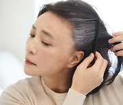 스트레스받으면 흰 머리 난다.. 사실일까?