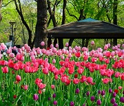 [포토친구] 서울숲의 봄