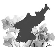<오후여담>진달래와 북한중독증