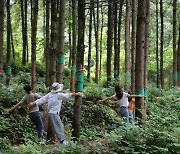 국립산림치유원, 코로나 지친 경북 사회복지사에게 '산림치유' 제공