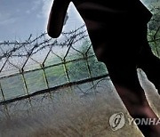 생활고·향수에 월북 시도 30대 탈북민..징역 1년