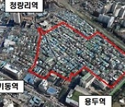 강북·동대문구 저층 빌라서 고층아파트로 변모할 곳은 어디?(종합)