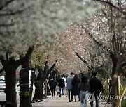 서울 영등포구, 30일까지 '온라인 봄꽃축제' 운영