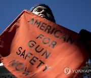 Gun Control Red Flag Laws