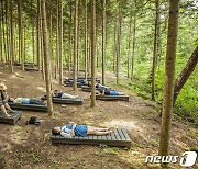 숲속에서 코로나 잊어볼까..서울대공원 '산림치유 프로그램' 운영