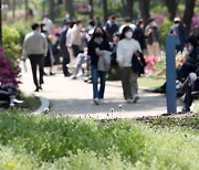 푸릇푸릇한 봄 기운