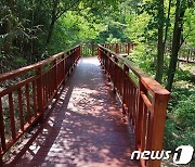 '용봉산~수암산 6.5km 숲길'..충남 내포사색길 봄꽃 만개