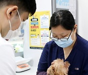 서울시 개·고양이 광견병 예방접종..본인 부담 5000원