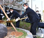 기념식수하는 김명수 대법원장