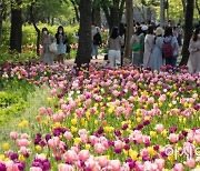 [포토]'봄의 절정'