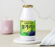 식약처, '불가리스 코로나19 마케팅' 남양유업 고발