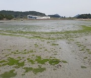 목포신항에 잠든 세월호, 1.3km 거리 고하도로 옮겨 영구보존