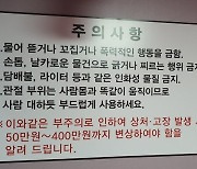 "혼자 즐기게둬라" "인간관 파괴" 韓 뒤집은 리얼돌 체험방  [e글중심]