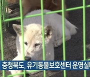 충청북도, 유기동물보호센터 운영실태 점검