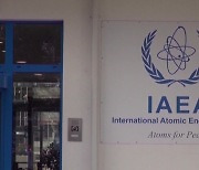 IAEA "'韓 참여' 국제 조사단 日 파견 검토"