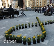 광주 백운광장에 세월호 리본 [경향포토]