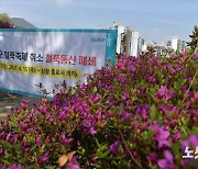 '올해도 군포 철쭉축제 취소'