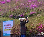 군포시, 코로나19 지역확산 예방 위해 철쭉동산 폐쇄