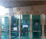 '고소득 묘목을 공짜로' 강릉시 공무원·시의원 벌금 200만원