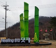 삼척시 지적재조사사업, 인력부족·토지주 이해 부족..'찔끔 실적'