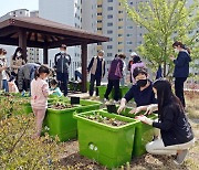 대구 동구 신천 도서관 파종부터 수확까지.. '도시농부' 운영