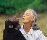[환경영화] 침팬지가 바꾼 여인의 일생