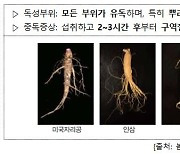 봄나물 먹으려다 독초를..봄철 '독성식물 식중독' 주의보