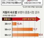 [그래픽] '안전속도 5030' 전면 시행