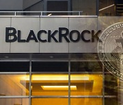 블랙록 CEO "비트코인, 훌륭한 자산군으로 성장할 것"(종합)