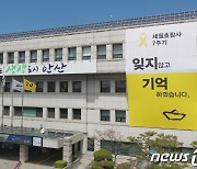 다시 내걸린 노란리본..그날 후 맞는 7번째 봄 전국 곳곳 추모 물결