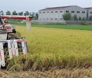 김해시, 쌀 고급화 전략 '주효'..4년 만에 브랜드 쌀 판매량 177% 급증